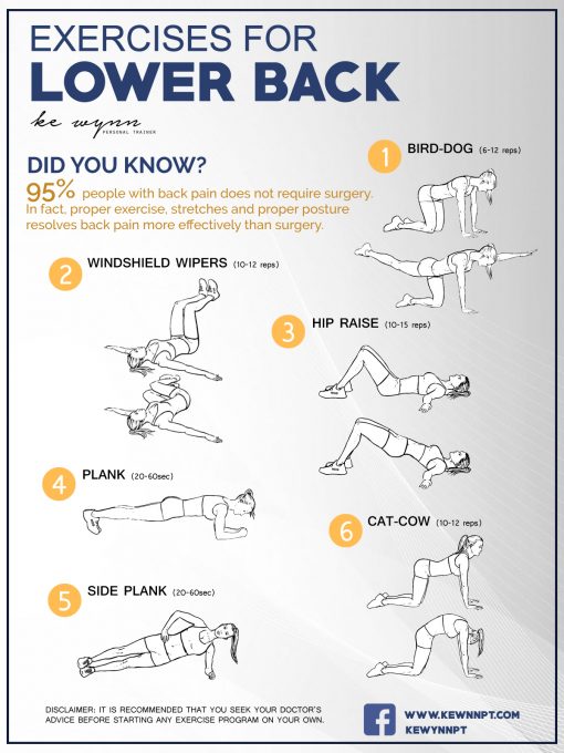 lower back exercises for smaller waist